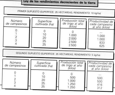 rendimientos decrecientes